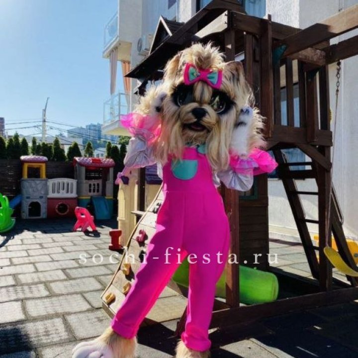Аниматор Гламурная Собака в Ярославле