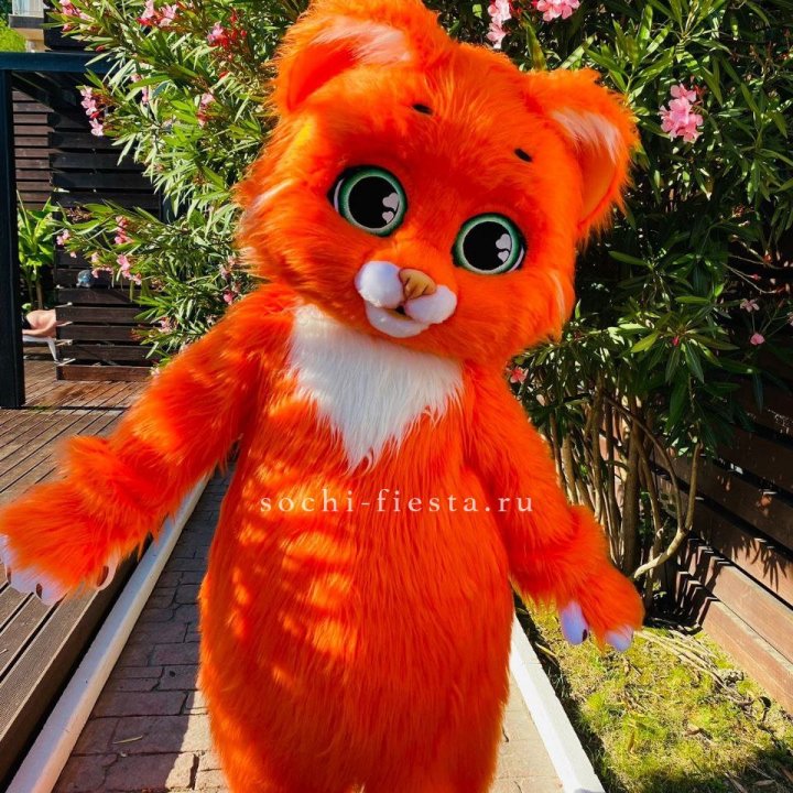 Аниматор Котик в Ярославле