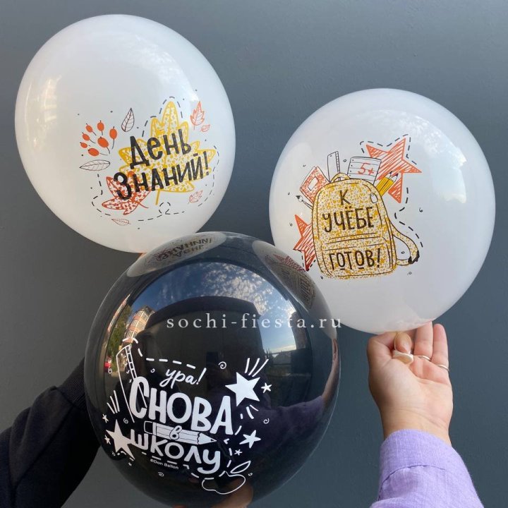 Воздушный шар к 1 сентября в Ярославле