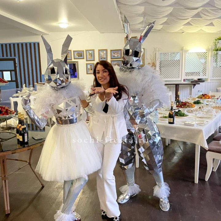 Аниматор Зеркальный заяц в Ярославле