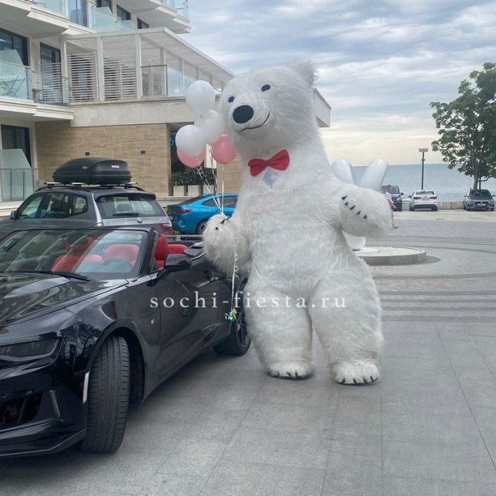 Аниматор Белый Медведь в Ярославле