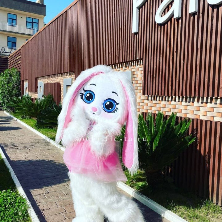 Аниматор Зайка в Ярославле