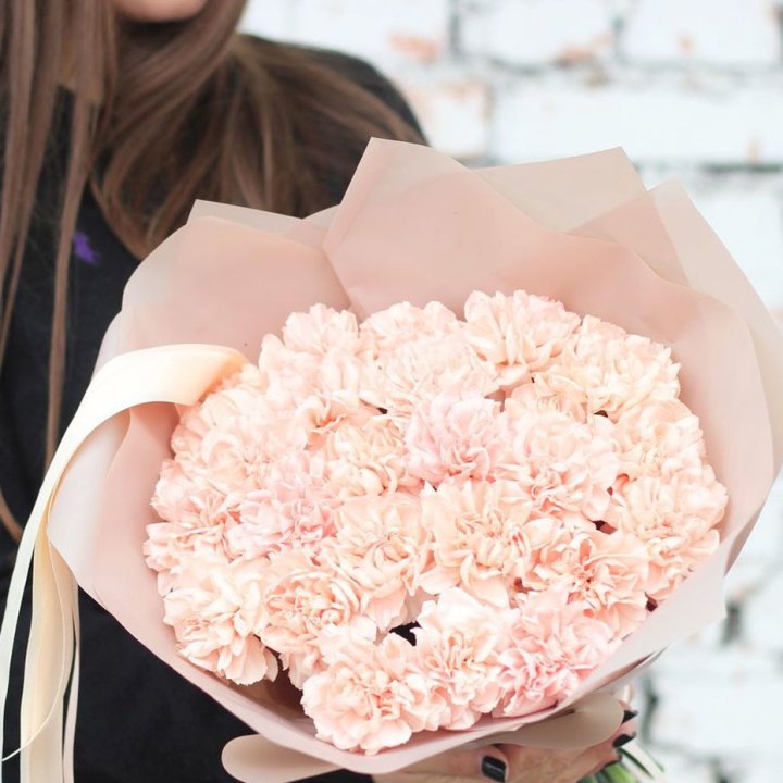 Диантусы №2 в Ярославле