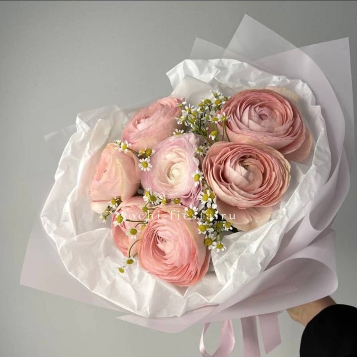 Ранункулюсы с ромашками в Ярославле