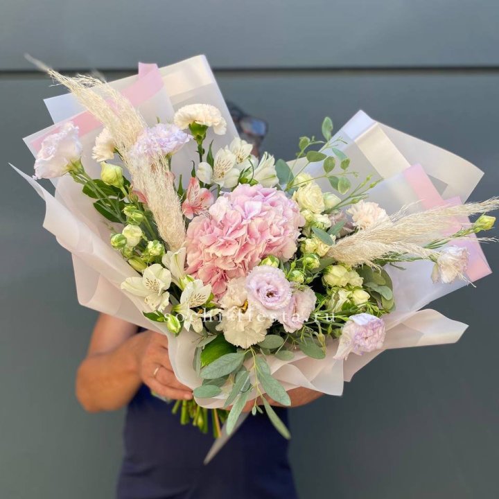 Гортензия "Пинк флоид" в Ярославле