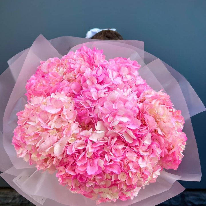 9 ярко розовых гортензий в Ярославле