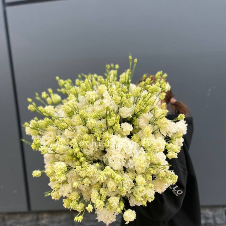 51 белая эустома в Ярославле