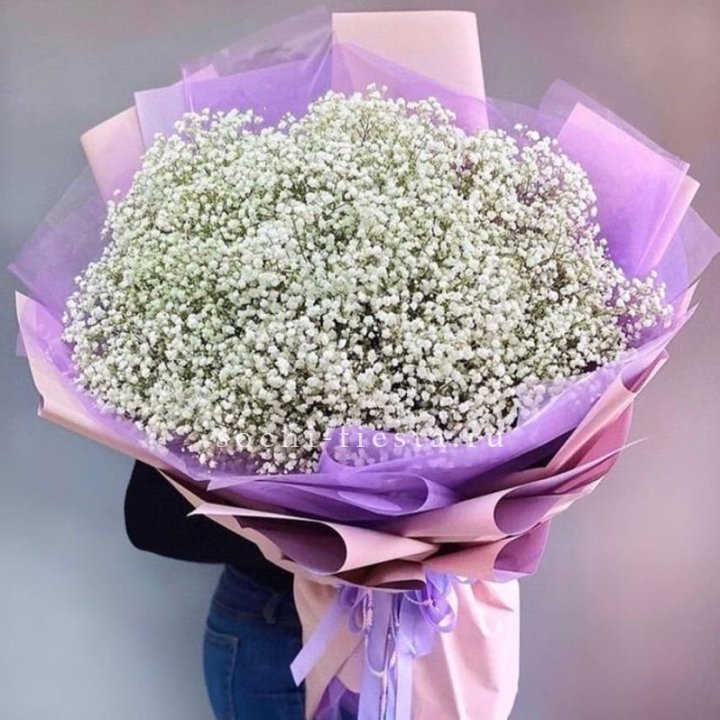 Облако белых гипсофил в Ярославле