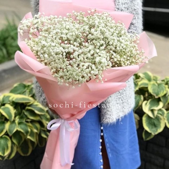 Белоснежные гипсофилы в Ярославле