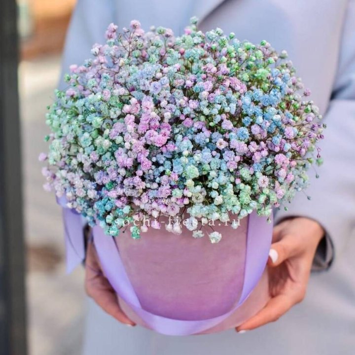 Гипсофилы в шляпной коробке "Кандилайт" в Ярославле