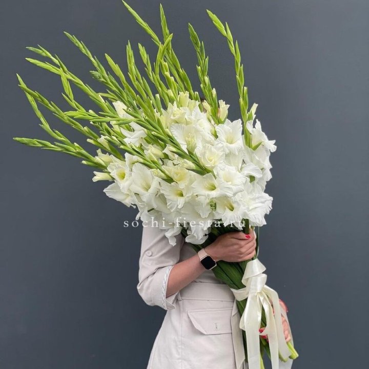 19 белых гладиолусов под ленту в Ярославле