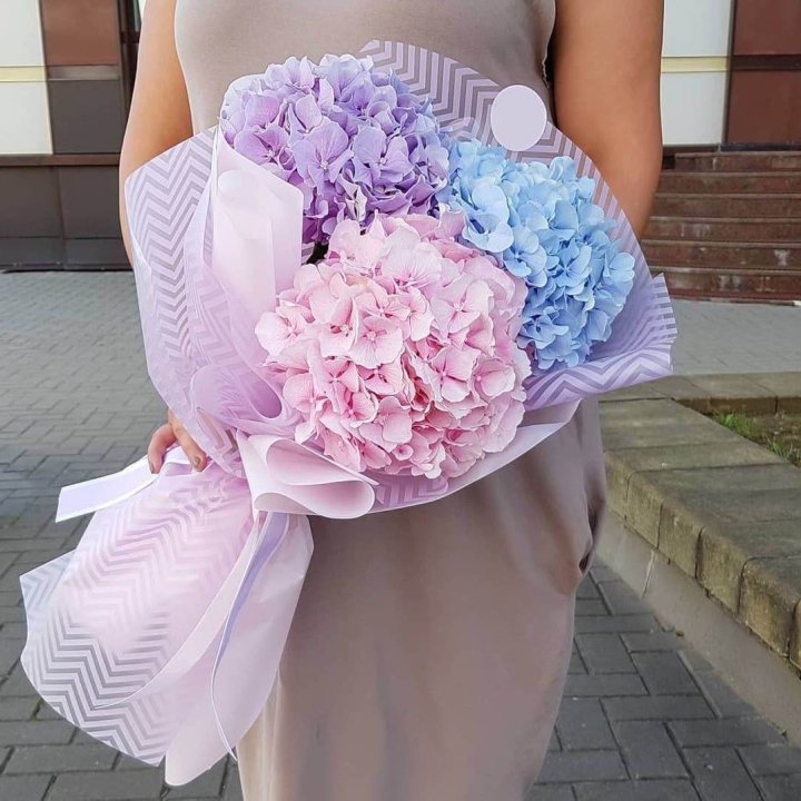 Букет гортензий "Пуф" в Ярославле