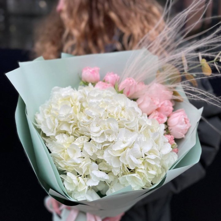 Гортензия "Жасмин" в Ярославле
