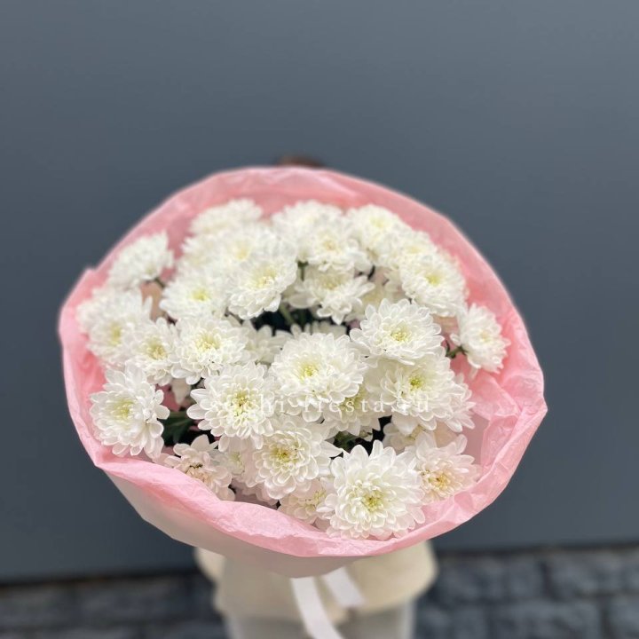  5 хризантем  с доставкой в Ярославле