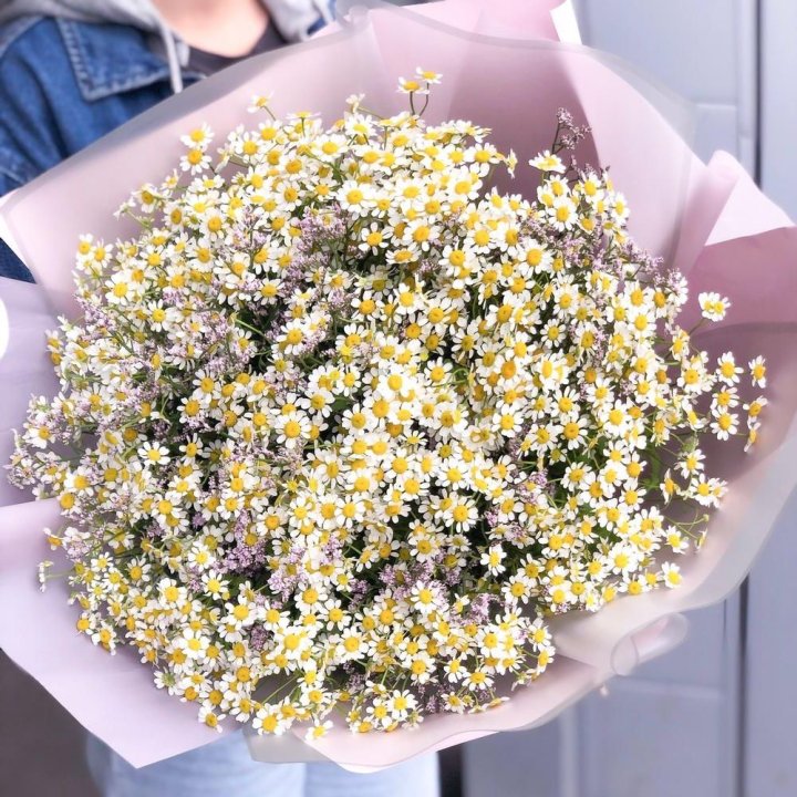 Букет ромашек №1 в Ярославле