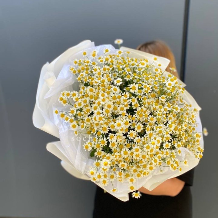 Букет ромашек "Фемели" в Ярославле