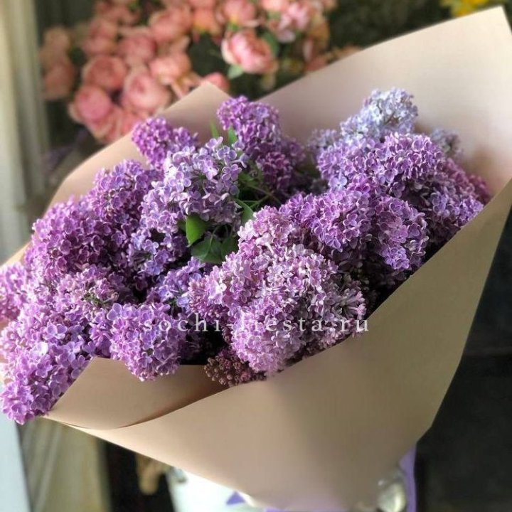 Букет сирени №2 в Ярославле