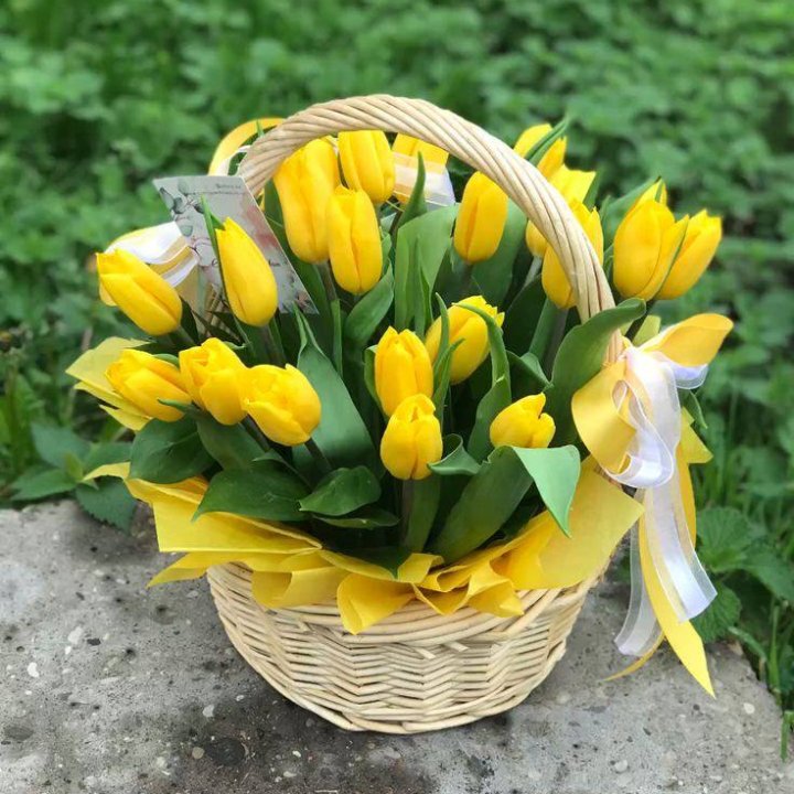 25 желтых тюльпанов в корзине в Ярославле