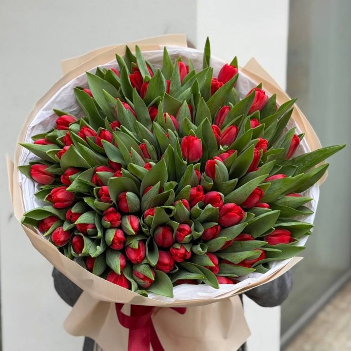 101 красный тюльпан в Ярославле