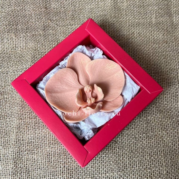 Бельгийский шоколад Орхидея в Ярославле