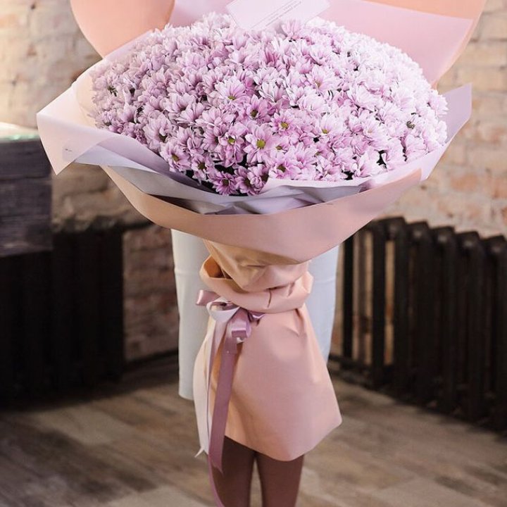 Облако хризантем №1 в Ярославле