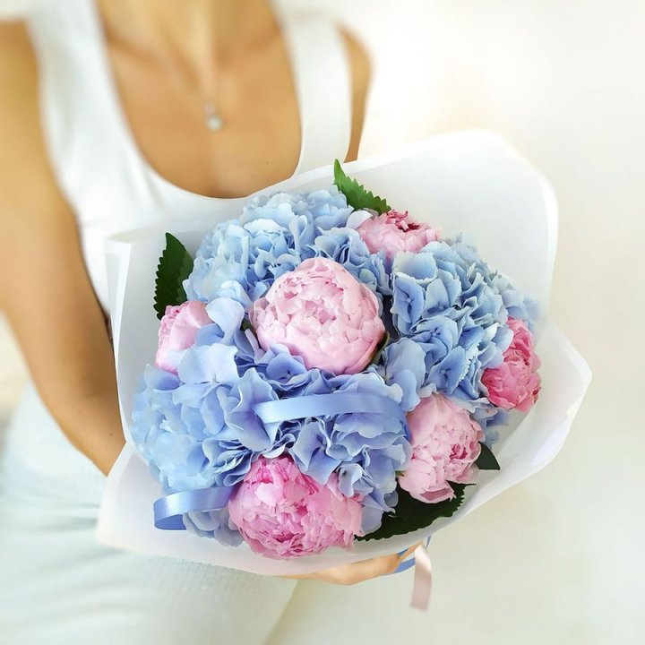 Гортензия и Пионы в Ярославле