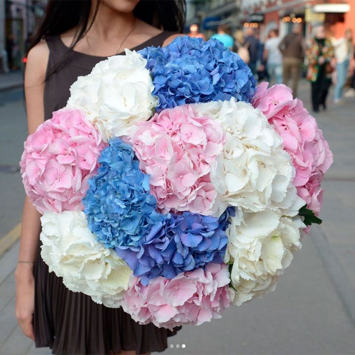 Букет гортензий "Инь-Янь" в Ярославле