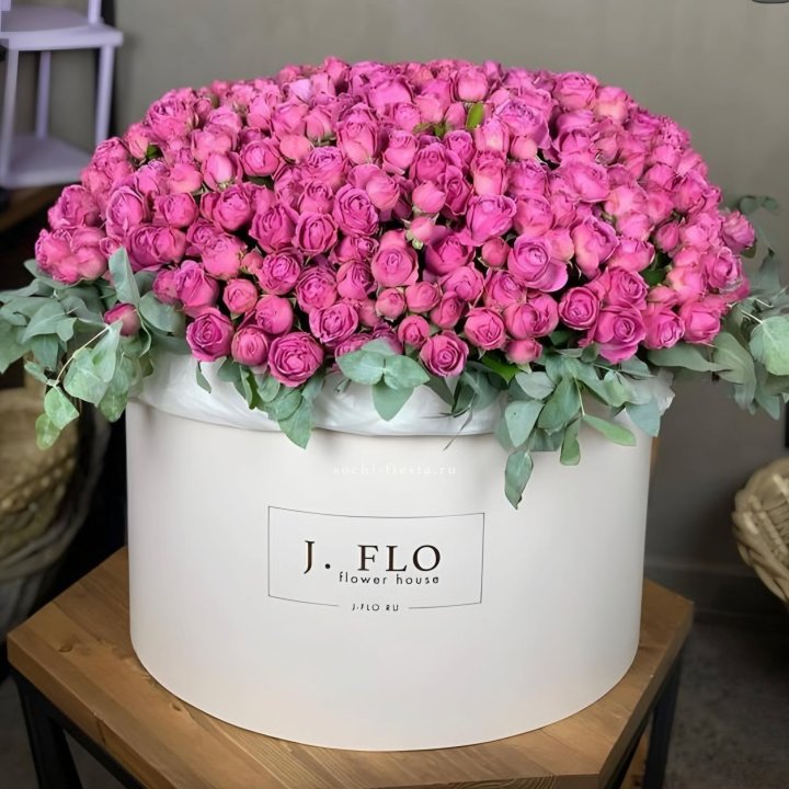 Цилиндр с Мисти Бабблс  в Ярославле