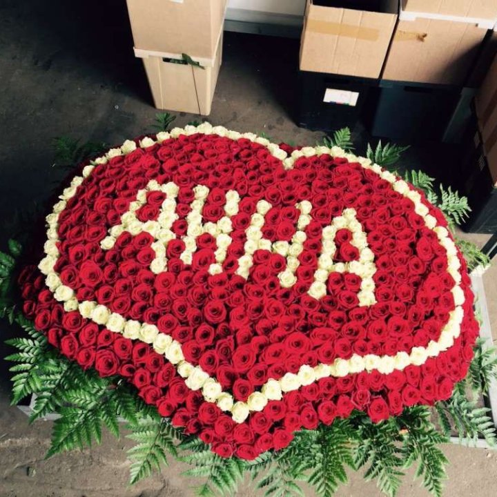 555 роз с именем в Ярославле