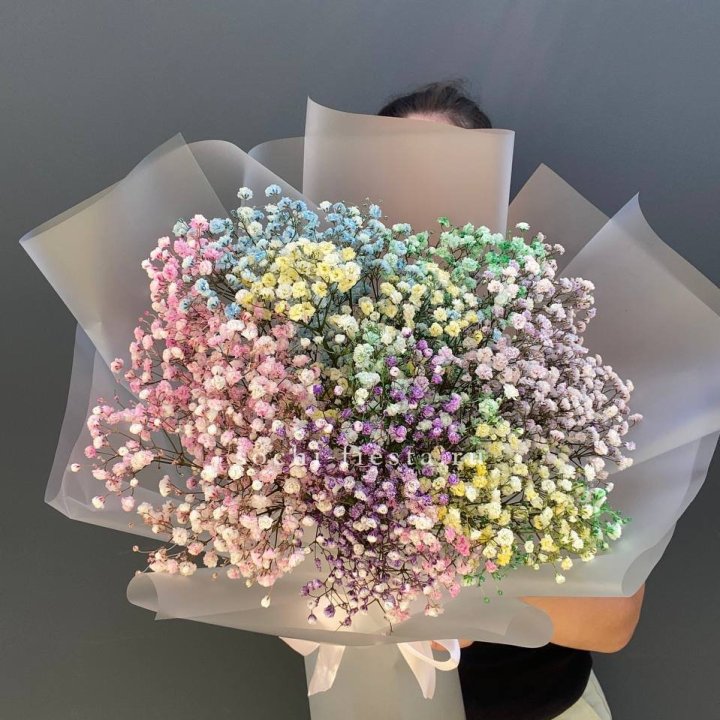 Радужные гипсофилы  в Ярославле