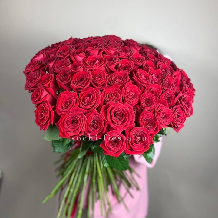 101  голландская роза  в Ярославле