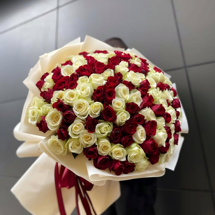 101 высокая импортная роза  в Ярославле