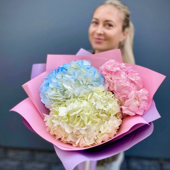 Букет гортензий "Тоника" в Ярославле