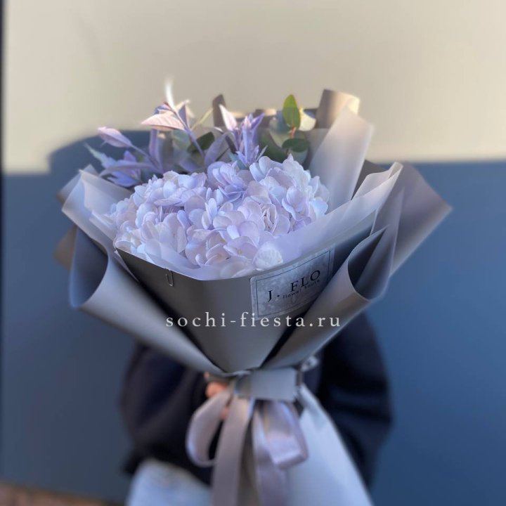 Гортензия "Виолета" в Ярославле