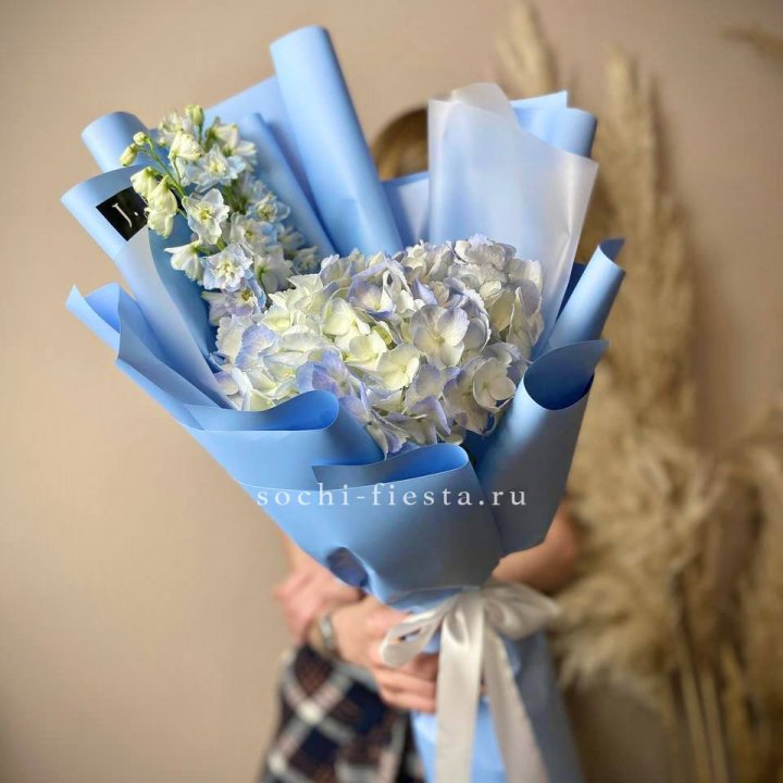 Гортензия "Блю скай" в Ярославле