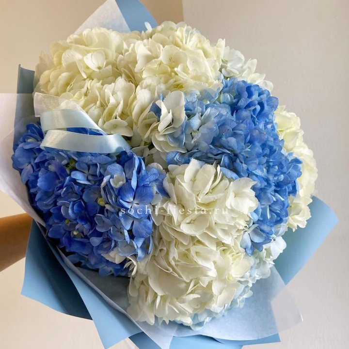 Букет гортензий "Голубая лаза" в Ярославле