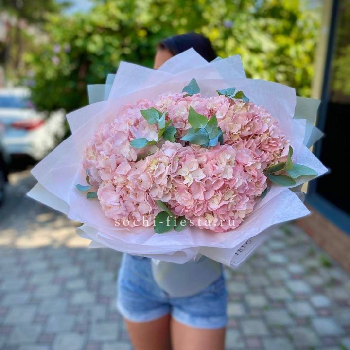 5 розовых гортензий  в Ярославле
