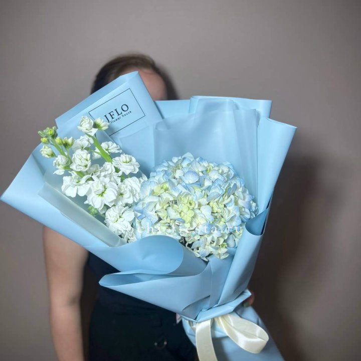 Гортензия голубая с маттиолой в Ярославле