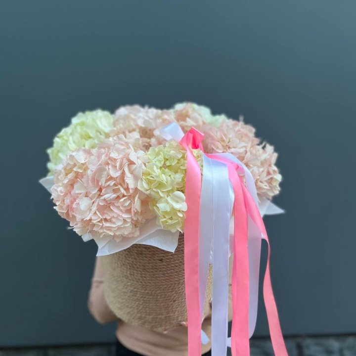 7 гортензий в кашпо в Ярославле