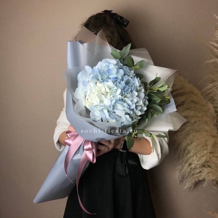 Гортензия Уно в Ярославле