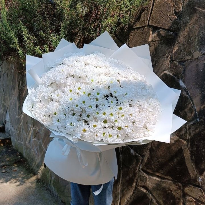 Облако хризантем №2 в Ярославле