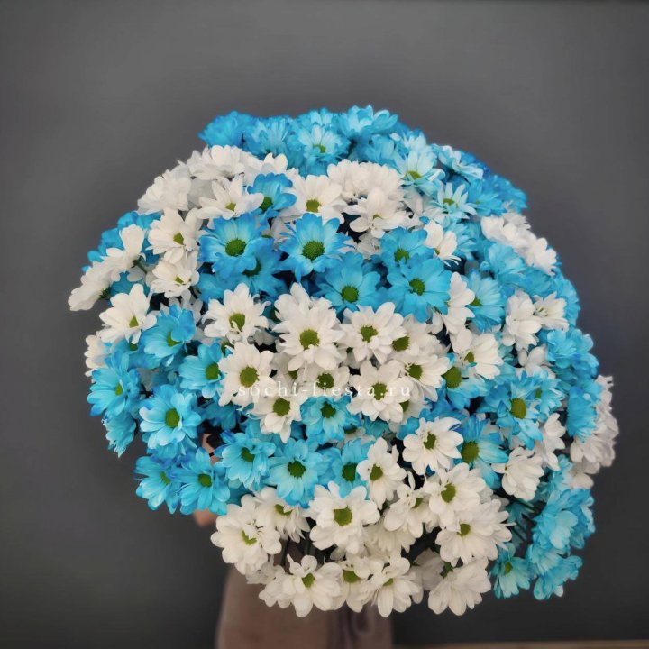  Букет хризантем микс в Ярославле