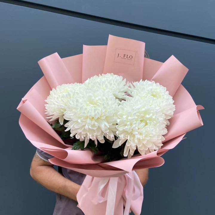 Профитроли №2 в Ярославле