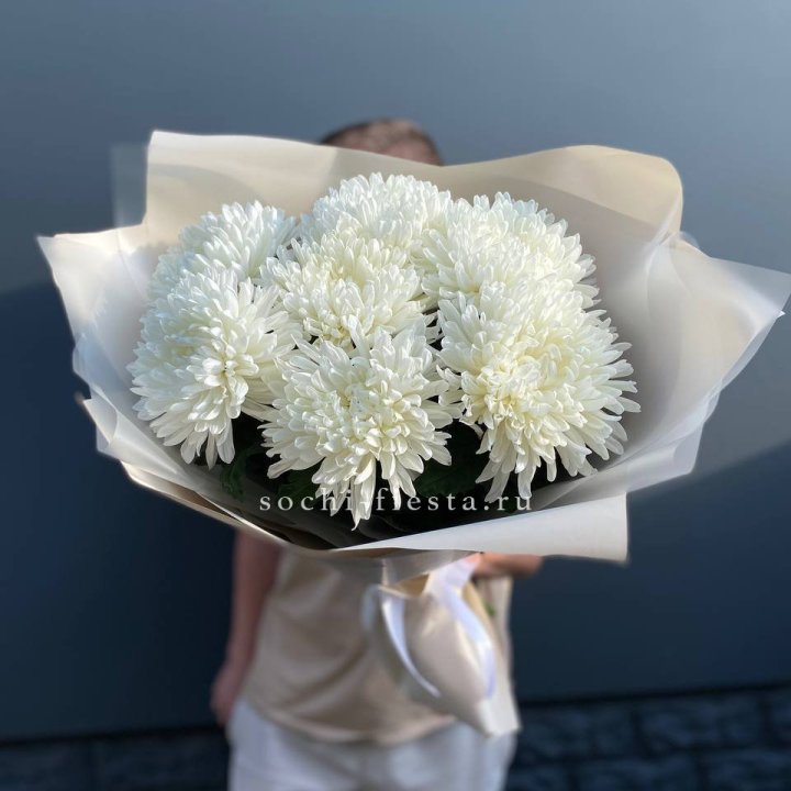 Профитроли в Ярославле