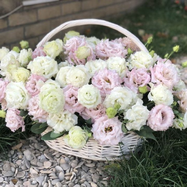 Корзина с эустомой в Ярославле