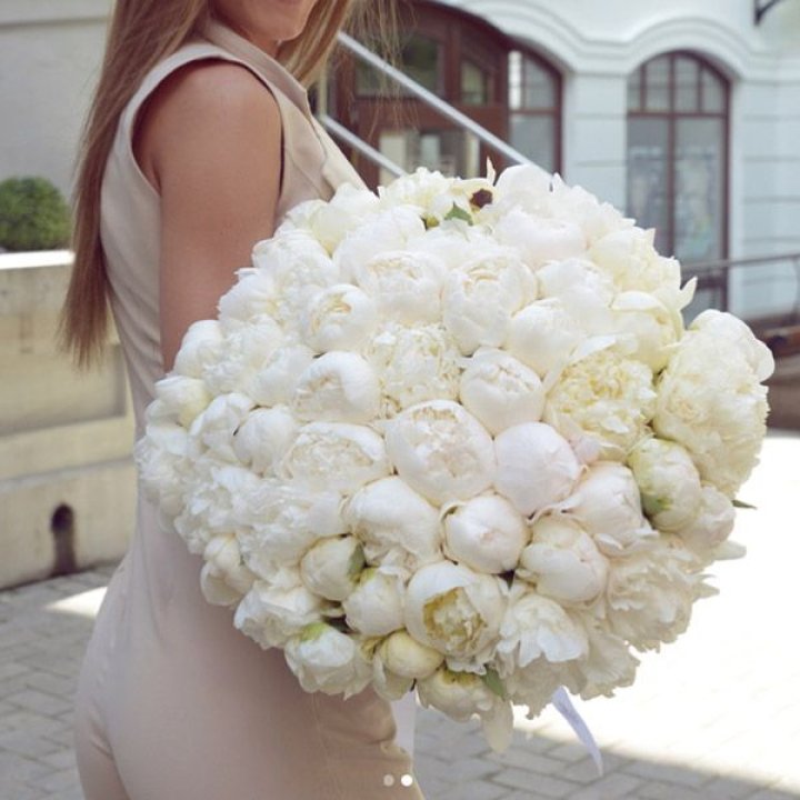 51 белый пион в Ярославле