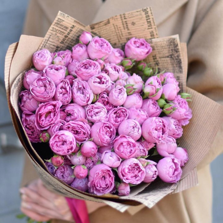 Роза Мисти Баблс в Ярославле