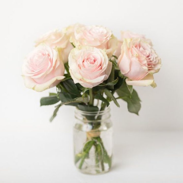 7 кремовых роз в Ярославле