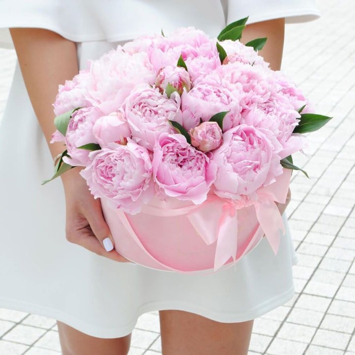 Пионы в шляпной коробке в Ярославле