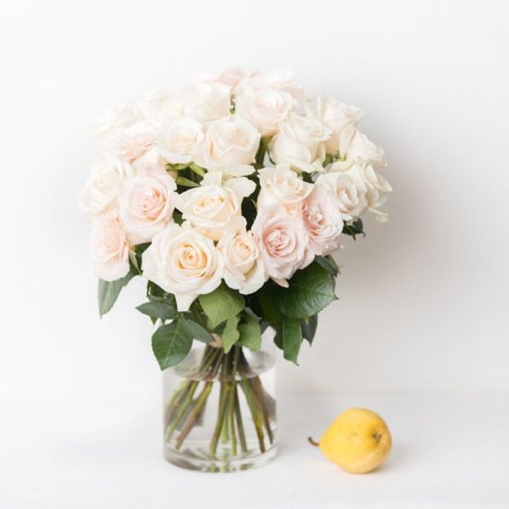 25 кремовых роз в Ярославле